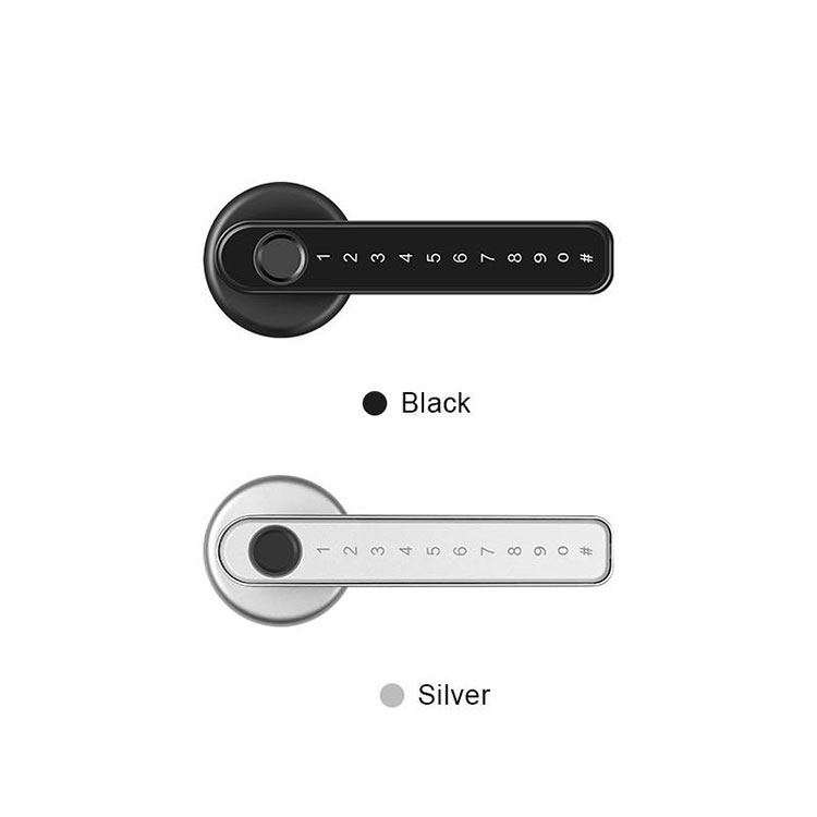 Smart Handle Lock – FM 190